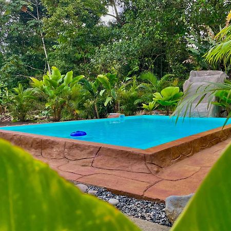 Iki Volcan Arenal With Jacuzzy La Fortuna Exteriér fotografie